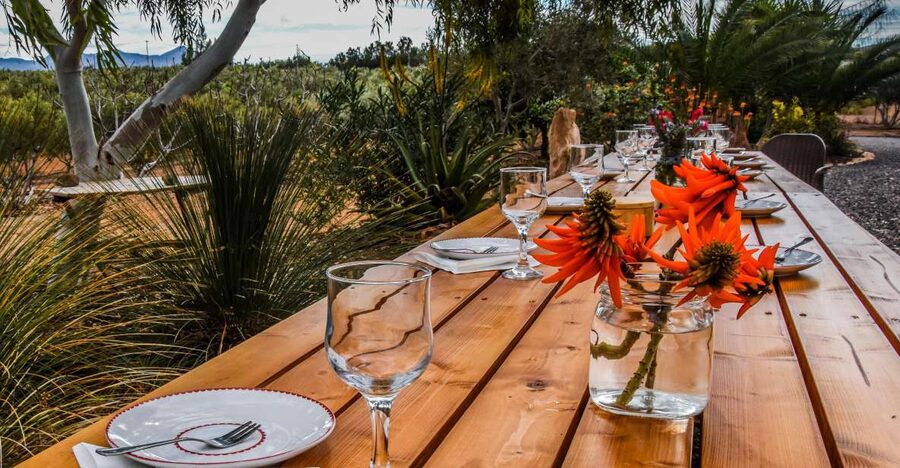Fuerteventura: Tapas and Local Life Guided Tour - Adrians olive farm and the realities of local oil