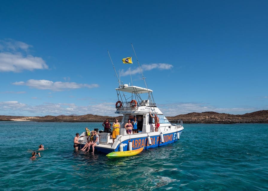 Fuerteventura: Whale & Dolphin Watching Boat Tour with Guide - Key points at a glance