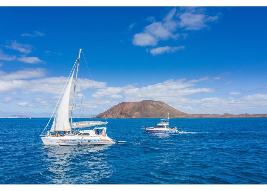 Fuerteventura: Whale & Dolphin Watching Boat Tour with Guide - The guides make the difference
