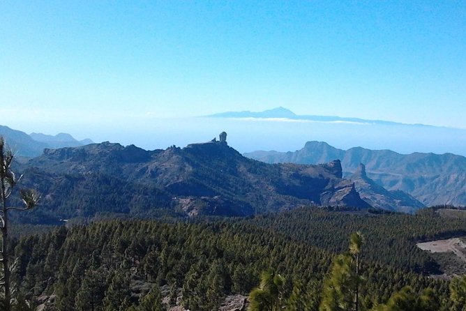 Full Day Across the Island Tour from Las Palmas - Fataga: palms, canyon country, and the main meal