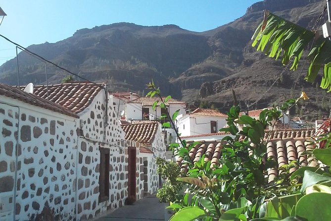 Full Day Across the Island Tour from Las Palmas - Maspalomas dunes: a sandy finish by the ocean