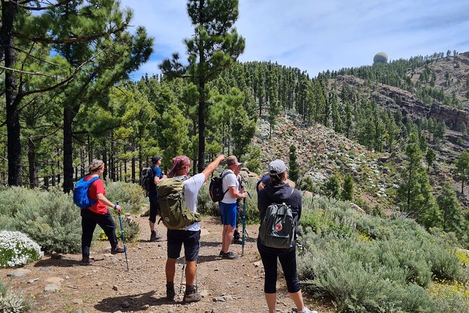 Full day Hiking Gran Canaria Peaks of Gran Canaria - Key points before you book