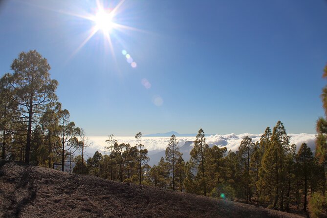 Full day Hiking Gran Canaria Peaks of Gran Canaria - Lunch in a local restaurant