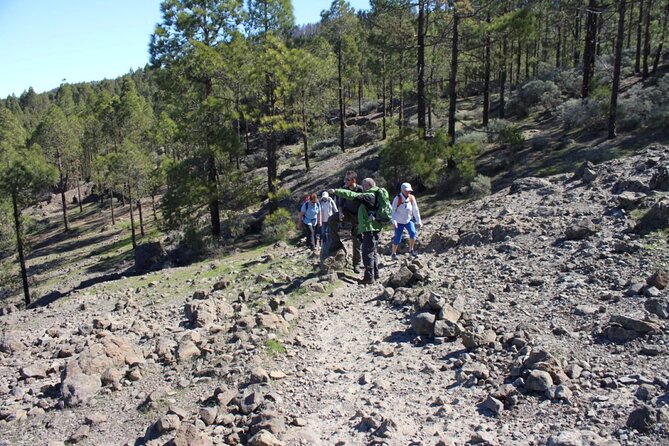 Full day Hiking Gran Canaria Peaks of Gran Canaria - Small-group value at $84.66