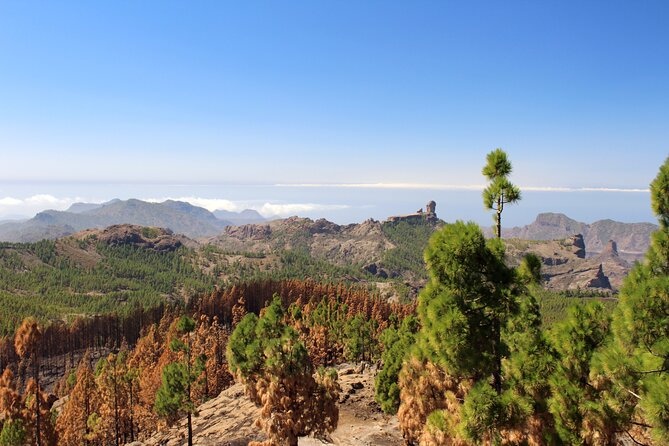 Full day Hiking Gran Canaria Peaks of Gran Canaria - The walk near Pico de las Nieves