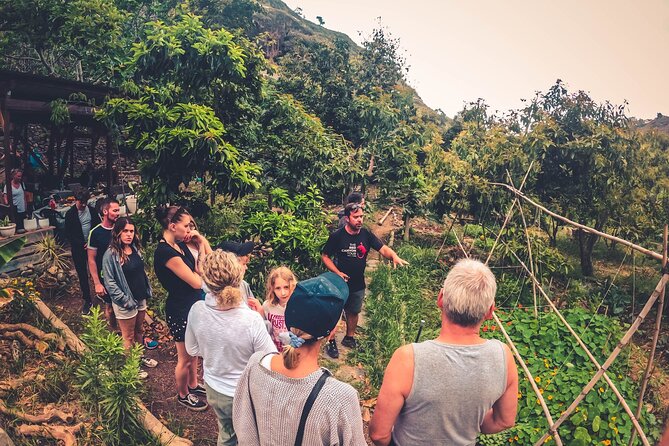 Full Day Rainforest Tour with Tasting and Swimming Time ツ - A greener side of Gran Canaria