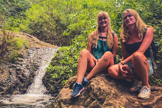 Full Day Rainforest Tour with Tasting and Swimming Time ツ - Ecofinca Ventana Verde and a generous local tasting