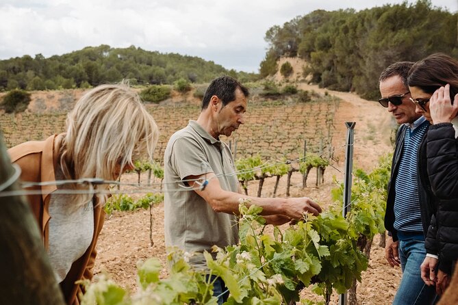 Full-Day Trip Barcelona to Montserrat Monastery & Cava Winery - Seeing how cava gets bottled