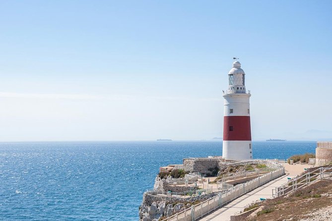 Gibraltar Rock Guided Tour - Why this 90-minute Gibraltar tour works