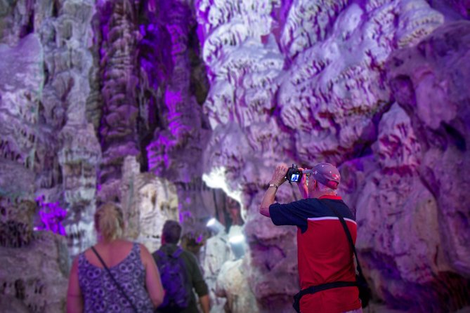 Gibraltar Rock Guided Tour - Meeting point, border timing, and the practical details