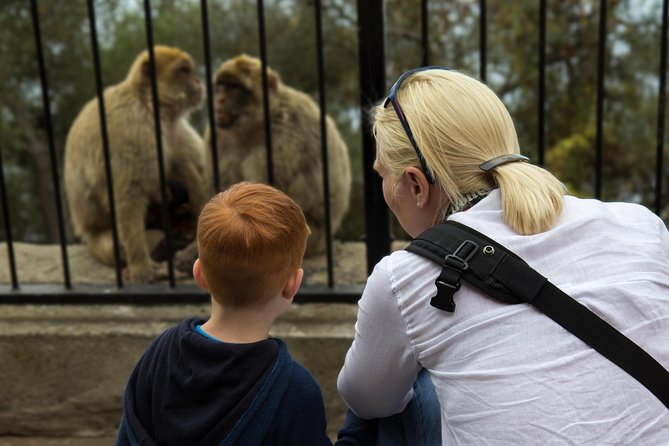 Gibraltar Rock Guided Tour - Who should book this Rock tour?