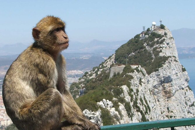 Gibraltar with St Michael Caves Guided Tour from Costa del Sol - The real shape of this Costa del Sol day trip