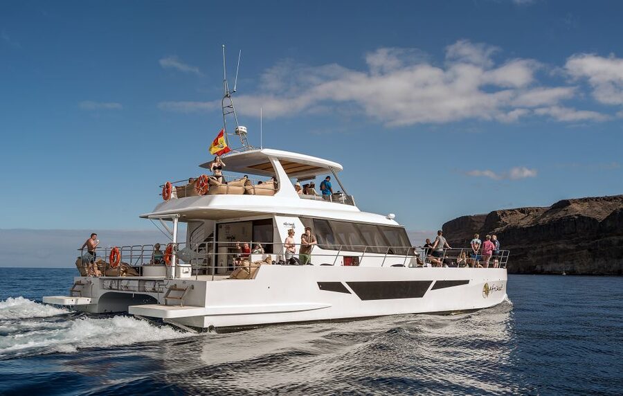Gran Canaria: Afternoon Catamaran Cruise with Food & Drink - Is the $91 price good value?