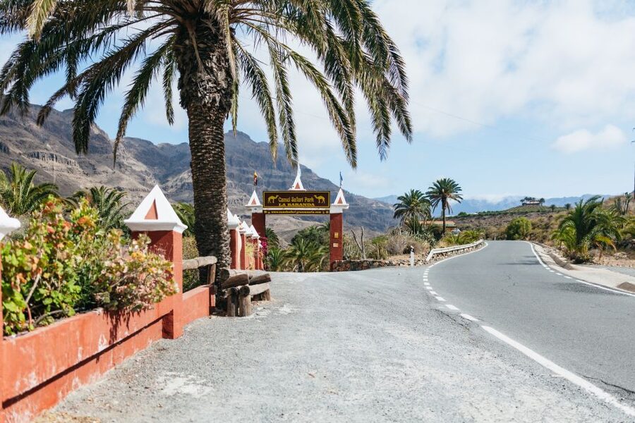 Gran Canaria: Camel Ride Safari w/ Optional Food & Transport - Adding the tapas lunch and farm-style setting
