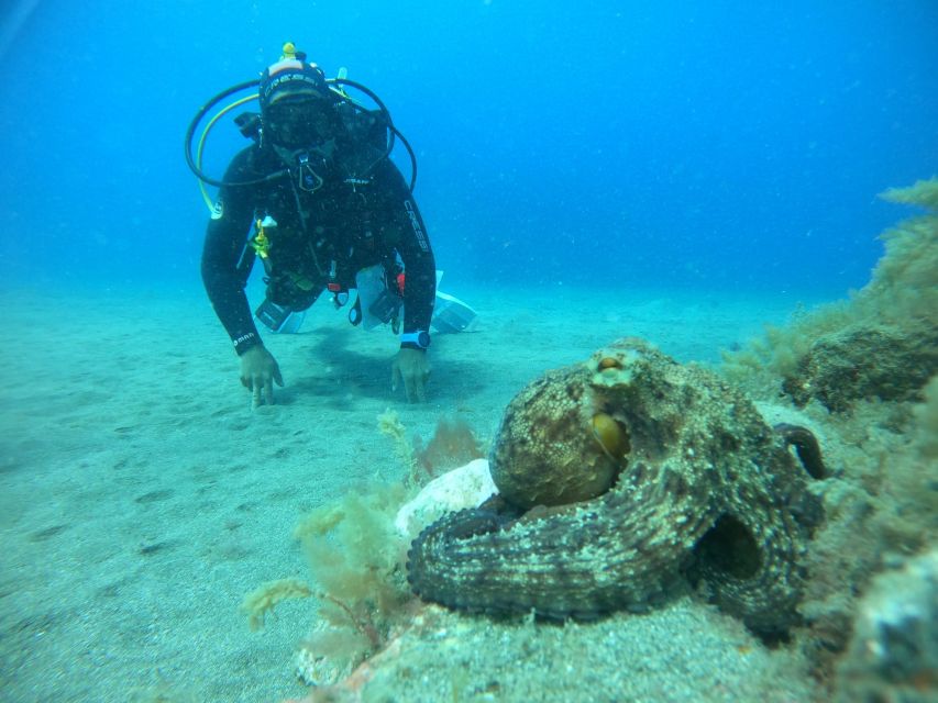 Gran Canaria: Discover Scuba Diving - Free Transfers - Is $105 a fair price?