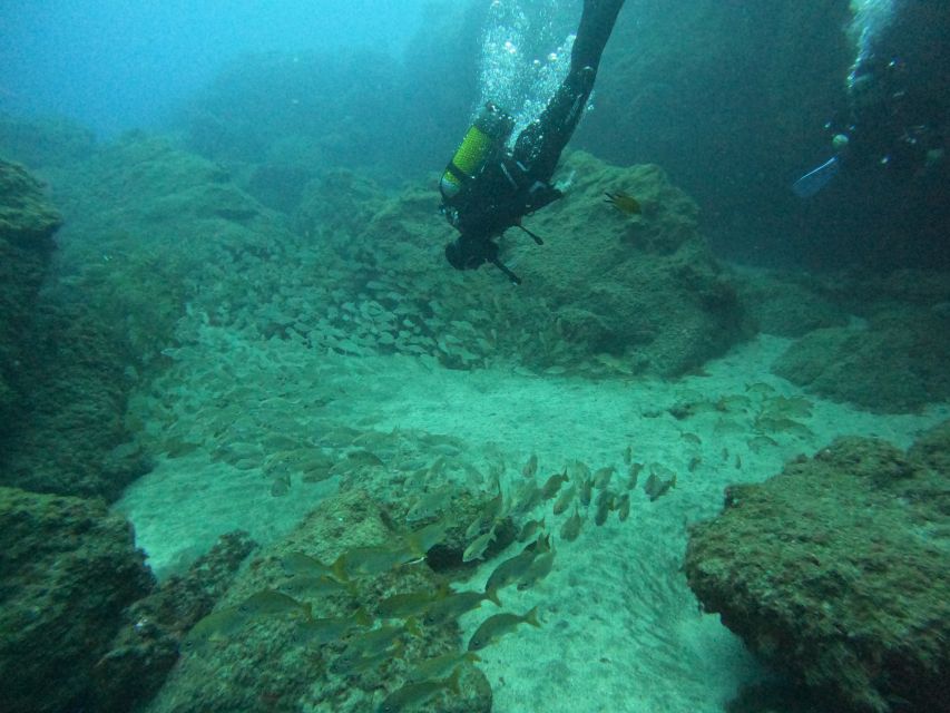Gran Canaria: Discover Scuba Diving - Free Transfers - Your first breaths underwater