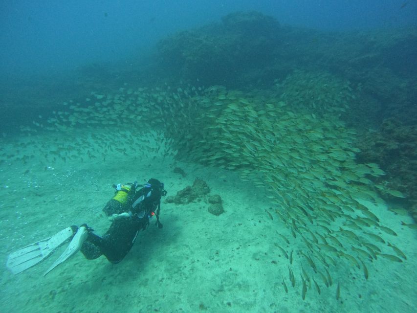 Gran Canaria: Discover Scuba Diving - Free Transfers - Getting fitted with Cressi equipment