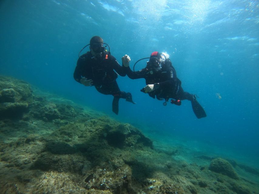 Gran Canaria: Discover Scuba Diving - Free Transfers - What you might see below the surface