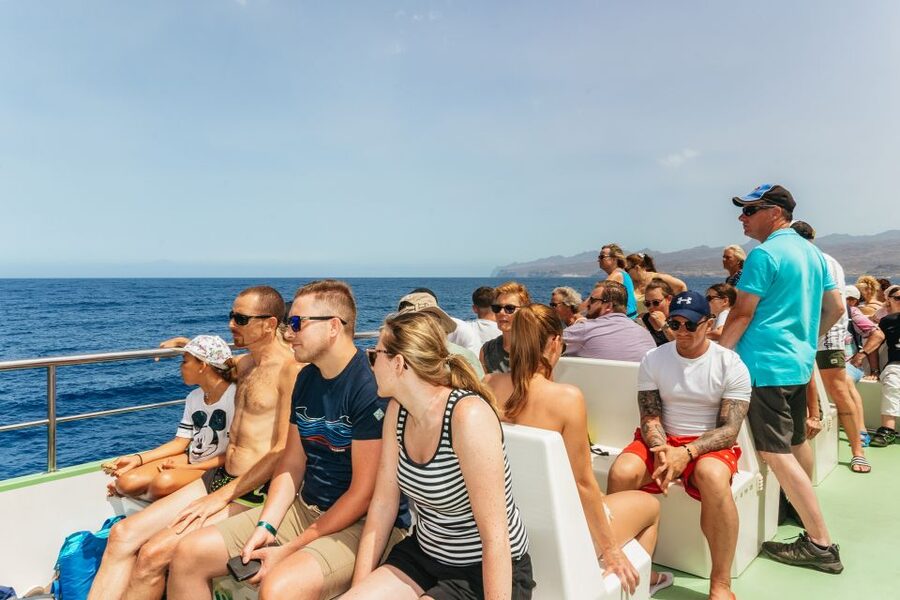 Gran Canaria: Dolphin and Whale Watching Cruise - Should you book the Líneas Salmón cruise?