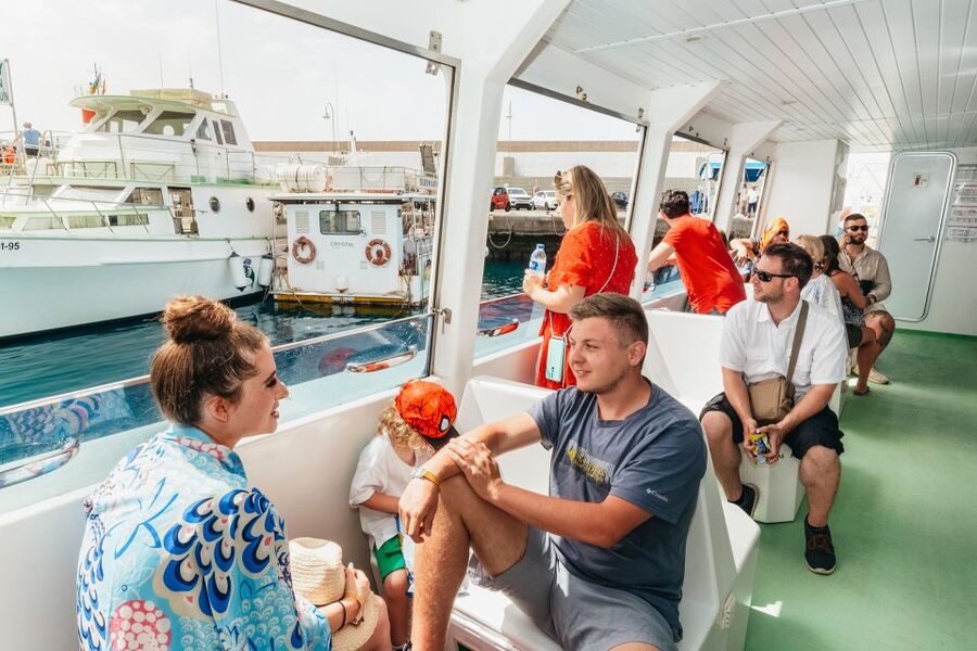 Gran Canaria: Dolphin and Whale Watching Cruise - What the marine guide adds