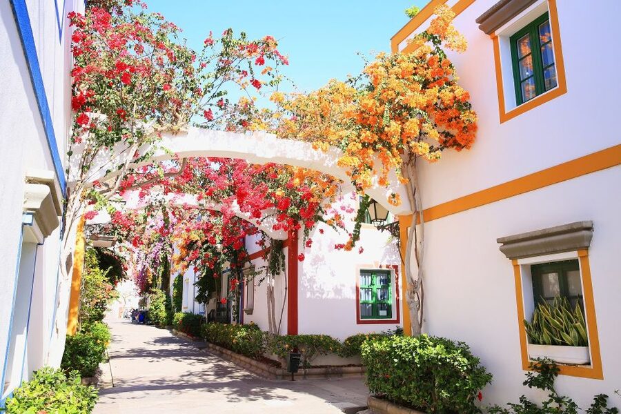 Gran Canaria: Full-Day Island Sightseeing Coach Tour - Las Canteras Beach and the Alfredo Kraus Auditorium