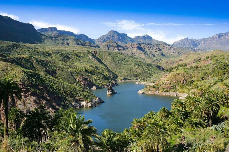 Gran Canaria: Full-Day VIP Tour by Bus - Aloe vera with a practical demonstration