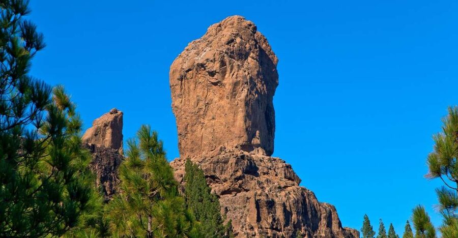 Gran Canaria: Full-Day VIP Tour by Bus - Farms, pine trees, and the green interior