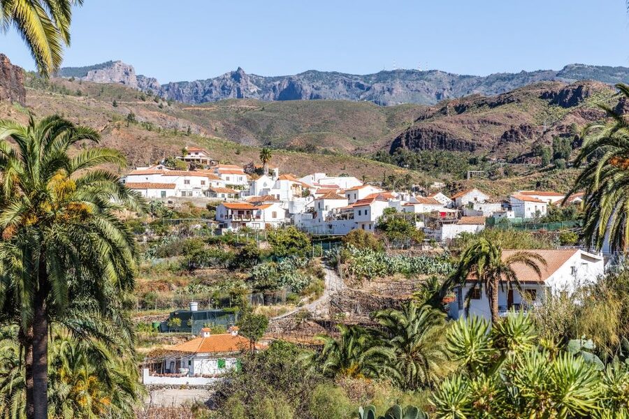 Gran Canaria: Full-Day VIP Tour by Bus - Fataga and the final change of scenery