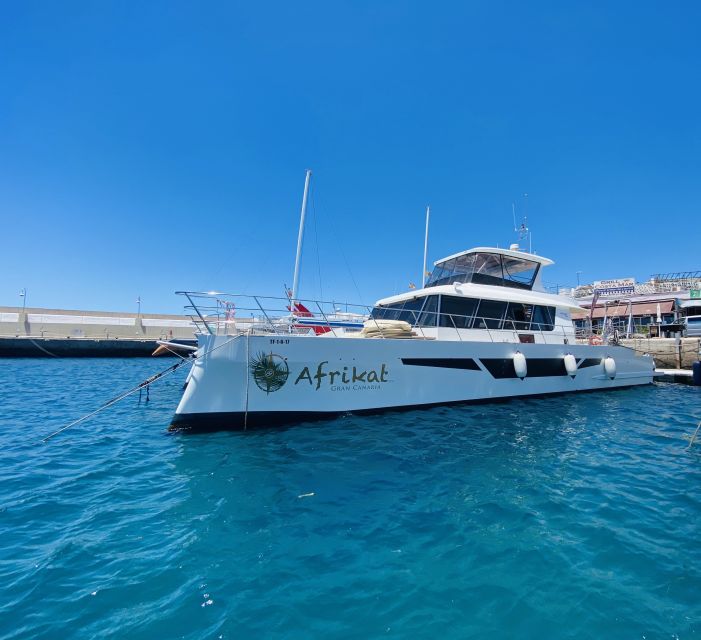 Gran Canaria: Fun Catamaran Cruise with Food and Drinks - What the return sail adds