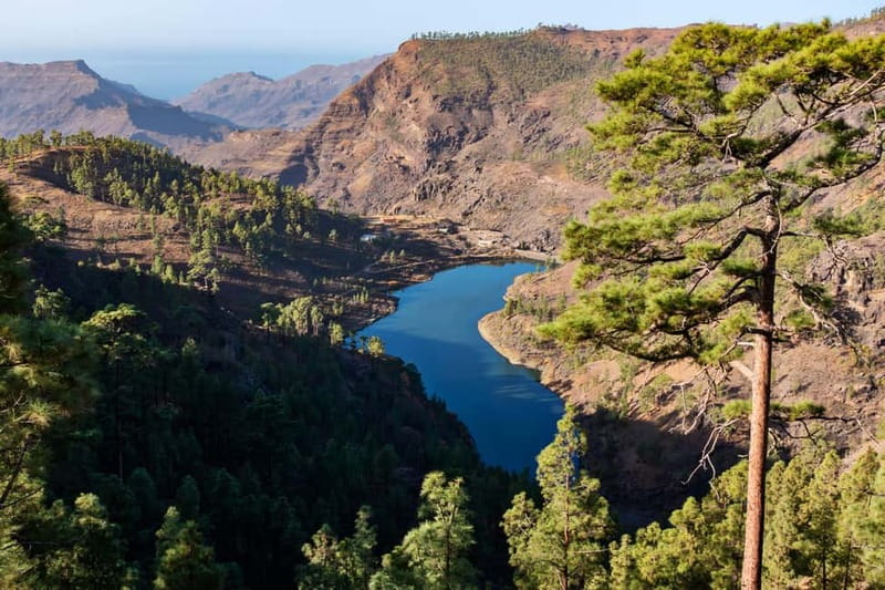 Gran Canaria: Island Highlights Tour with Optional Lunch - Leaving Maspalomas for the island’s high country