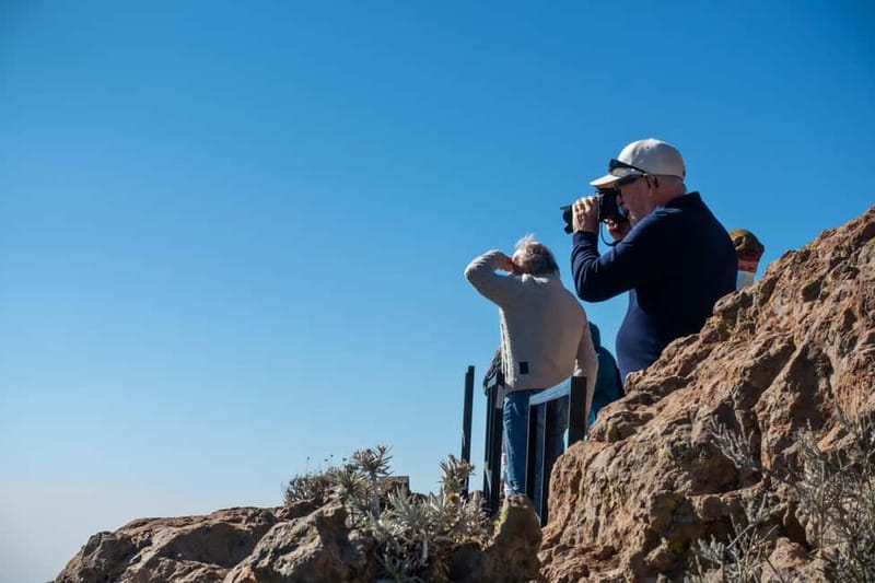 Gran Canaria: Island Highlights Tour with Optional Lunch - Aloe vera at Finca Canarias