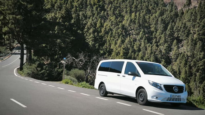 Gran Canaria: Island Highlights Tour with Optional Lunch - The volcanic bowl at Caldera de Bandama
