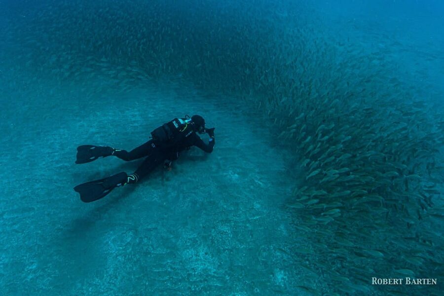 Gran Canaria:Live an Adventure and Learn to Dive with Expert - Is $100 a fair price?