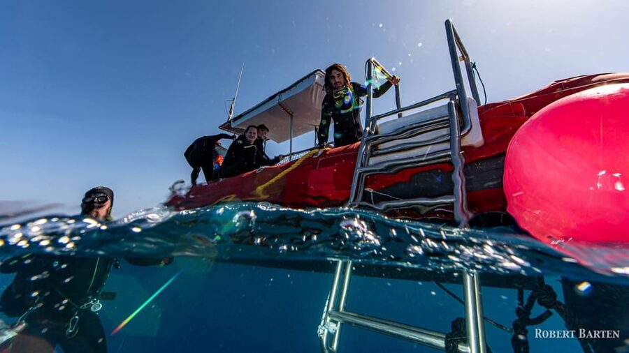 Gran Canaria:Live an Adventure and Learn to Dive with Expert - Transfers, languages, and practical planning