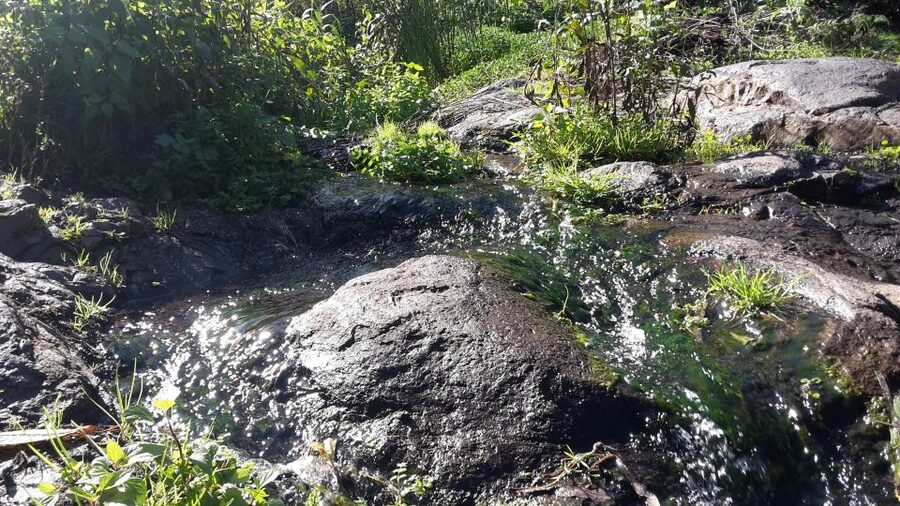 Gran Canaria: "Magic Waterfalls" Hiking Tour - Key points to know before you book