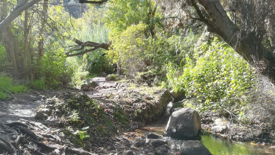 Gran Canaria: "Magic Waterfalls" Hiking Tour - What the trail feels like underfoot