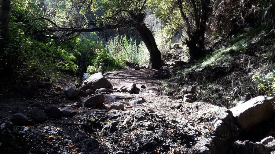 Gran Canaria: "Magic Waterfalls" Hiking Tour - Lunch in a local Canarian bar