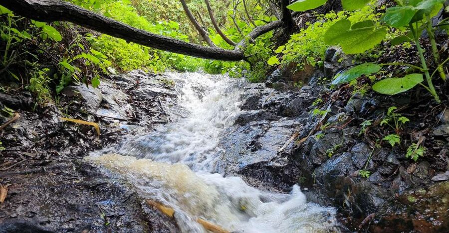 Gran Canaria: "Magic Waterfalls" Hiking Tour - A 7-kilometer route with waterfalls and plant life
