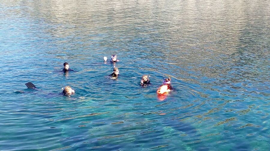 Gran Canaria: Snorkeling Trip - Meeting at Puerto Rico for a short sea adventure