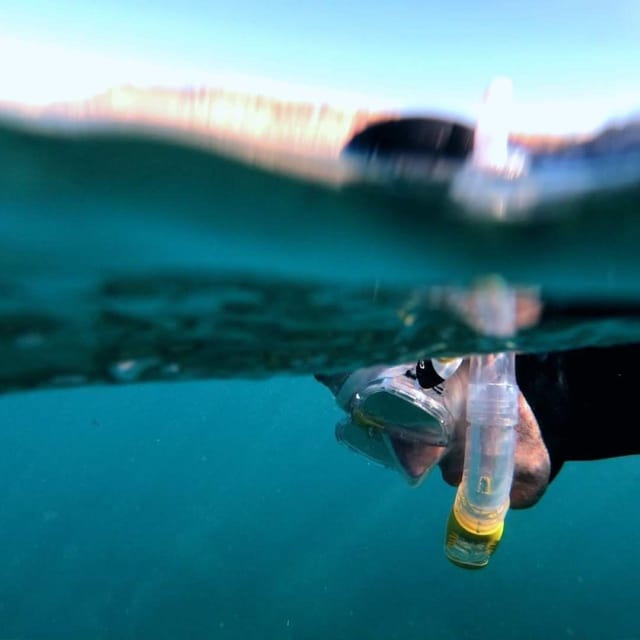 Gran Canaria: Snorkeling Trip - Choosing a beach instead of staying in one fixed spot
