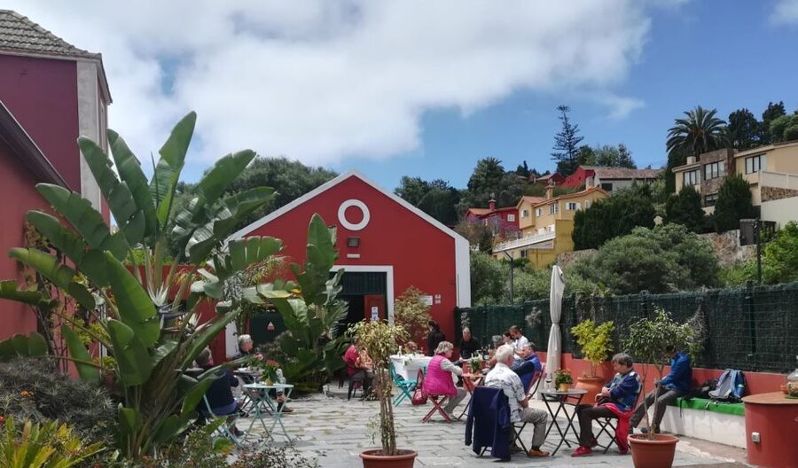 Gran Canaria: Winery Tour, Wine Museum, and Tasting - Inside the cellar