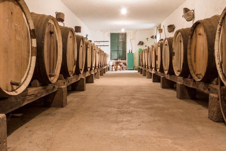 Gran Canaria: Winery Tour, Wine Museum, and Tasting - Two wines, cheese, toast, and olives