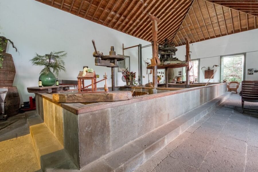 Gran Canaria: Winery Tour, Wine Museum, and Tasting - Getting there and planning the visit