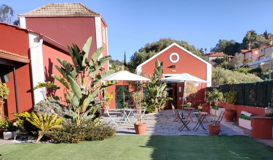 Gran Canaria: Winery Tour, Wine Museum, and Tasting - Should you book Bodega San Juan?