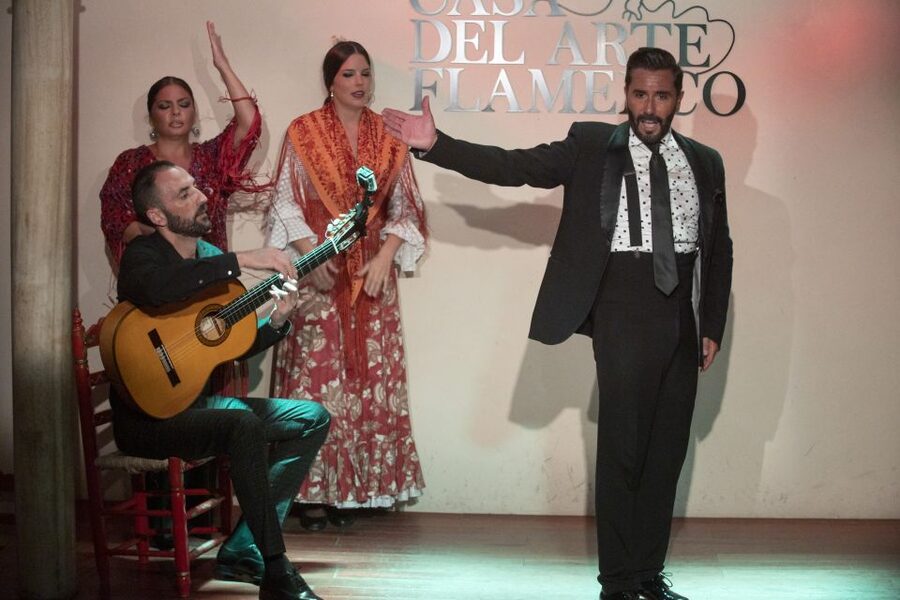 Granada: 1-Hour Traditional Flamenco Show - Key points at a glance