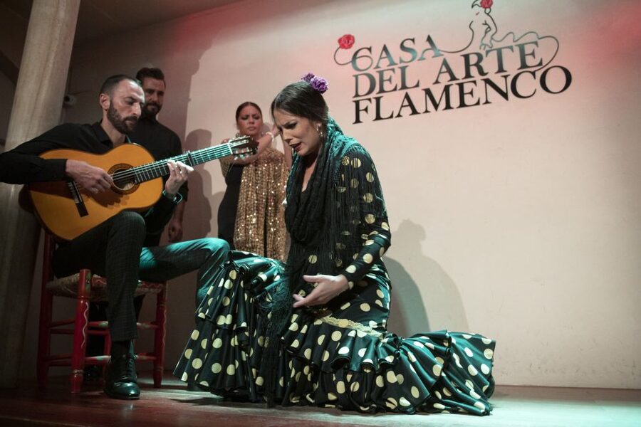 Granada: 1-Hour Traditional Flamenco Show - A one-hour schedule that fits Granada