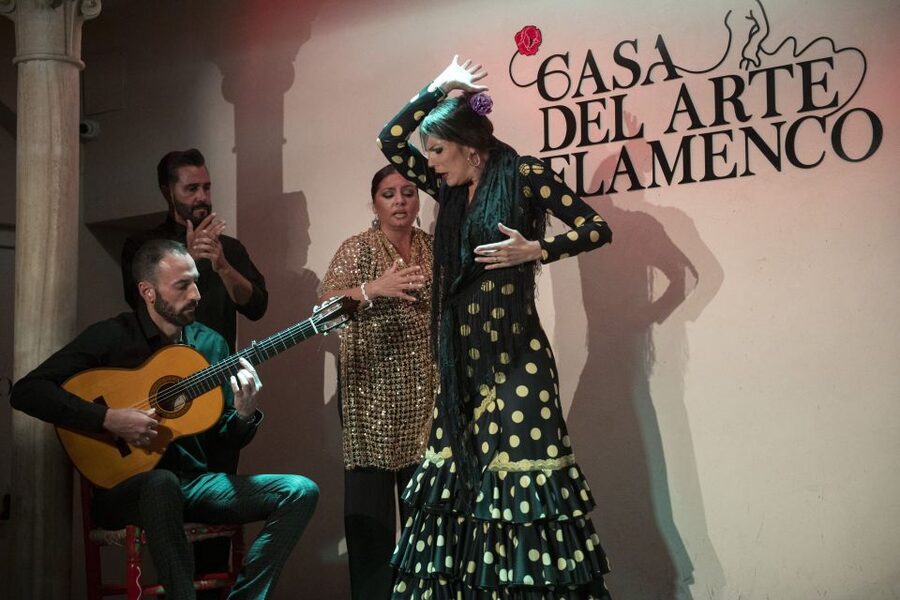 Granada: 1-Hour Traditional Flamenco Show - Is $23 a fair price?
