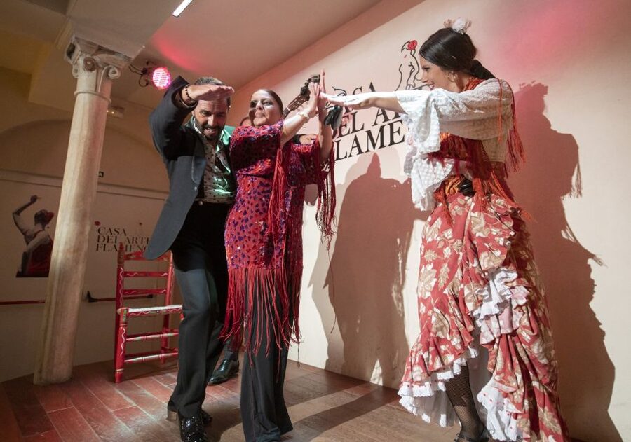 Granada: 1-Hour Traditional Flamenco Show - Practical advice before you book