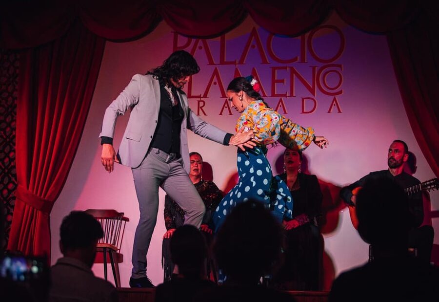 Granada: 1-Hour Traditional Flamenco Show at Palacio - The artists and the changing weekly program