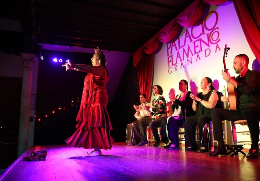 Granada: 1-Hour Traditional Flamenco Show at Palacio - What happens during the one-hour performance